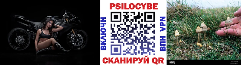 Галлюциногенные грибы Cubensis  Лукоянов 